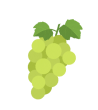 grape icon