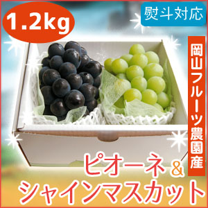 【9月9日限定】岡山産シャインマスカットと種なしニューピオーネ2kg
